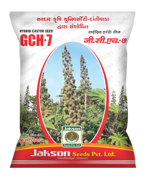 Jakson GCH-7 Hybrid Castor Seeds