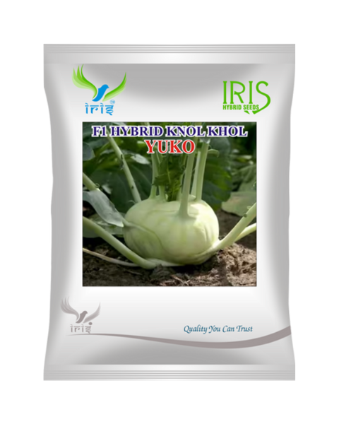 Iris F1 Hybrid Yuko Knol Khol Seeds
