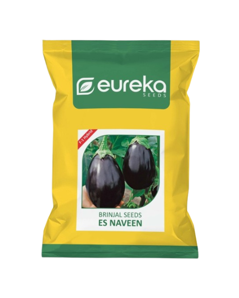 Eureka ES NAVEEN F1 HYBRID Brinjal Seeds