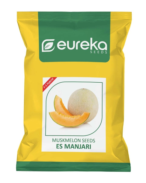 Eureka ES MANJARI F1 HYBRID Muskmelon Seeds