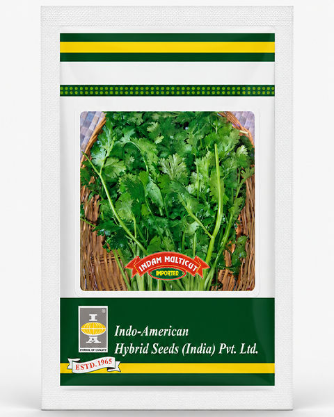 Indam Multicut (OP) 100 seeds/pkt Coriander Seeds