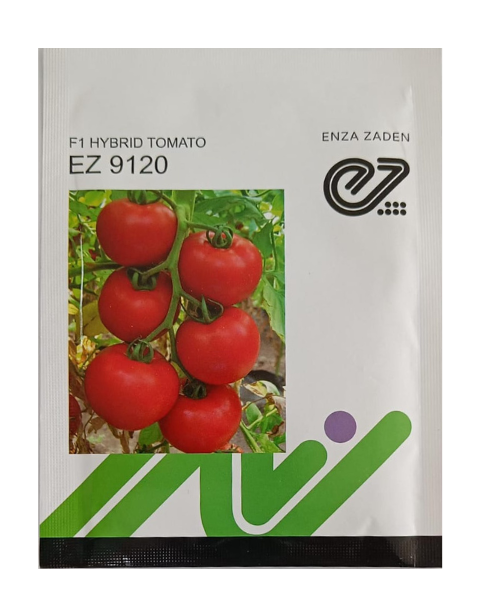 EZ 9120 F1 Hybrid Tomato Seeds