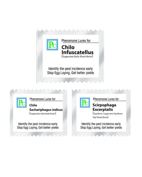 Pheromone Replacement lures combo pack for Sugarcane 24 pack