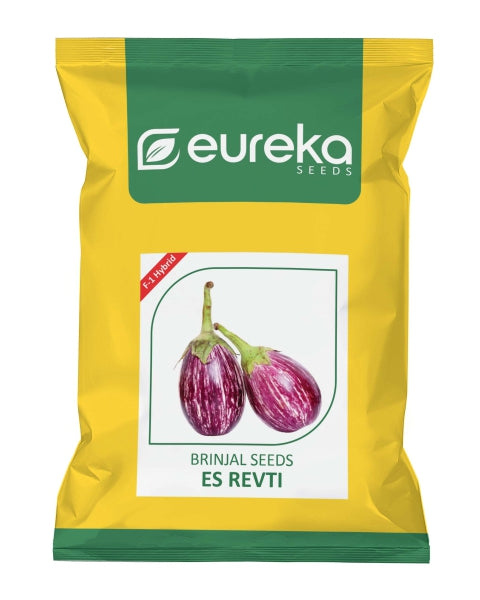 Eureka ES REVTI F1 HYBRID Brinjal Seeds