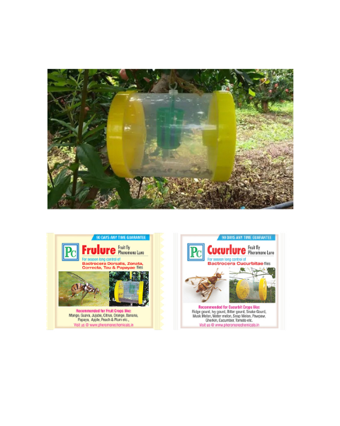 Pheromone Fruit Fly Trap Combo Pack for Cucurbits and Creepers