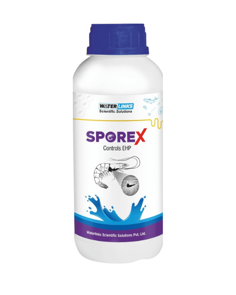 Waterlinks Sporex Combat EHP Fish Supplements
