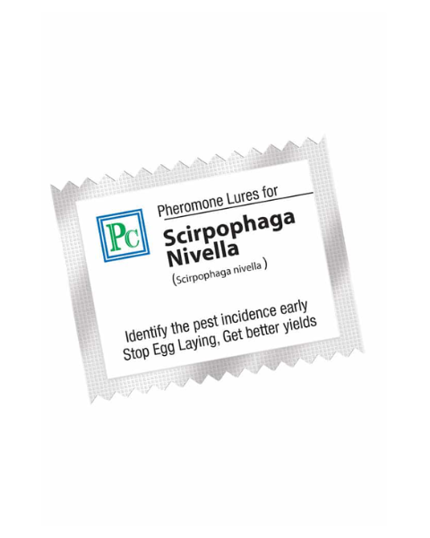 Pheromone Replacement lures for Scirpophaga nivella (White rice moth ) - 10 Pack