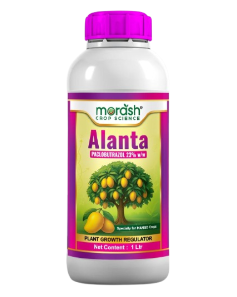 Morash ALANTA (PACLOBUTRAZOL 23% SC) Growth Regulators