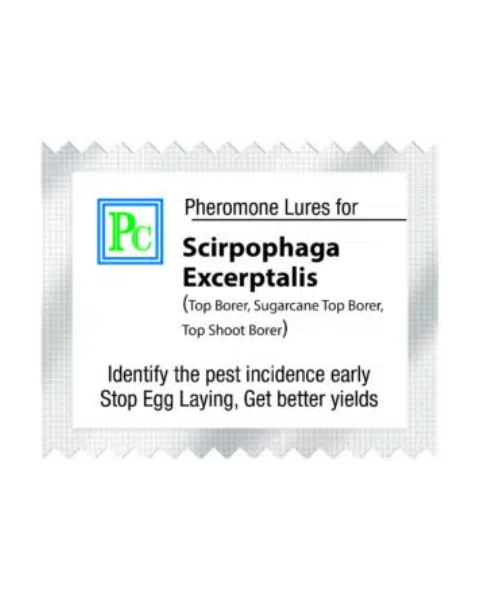 Pheromone Replacement lures for Scirpophaga excerptalis (White sugarcane top borer) 8Pack Traps & Lures
