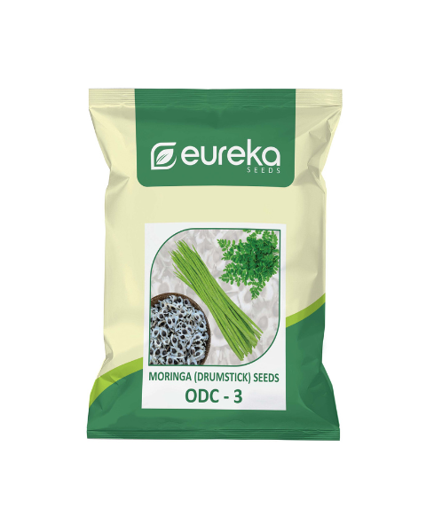 Eureka Moringa ODC-3 Drumstick Seeds