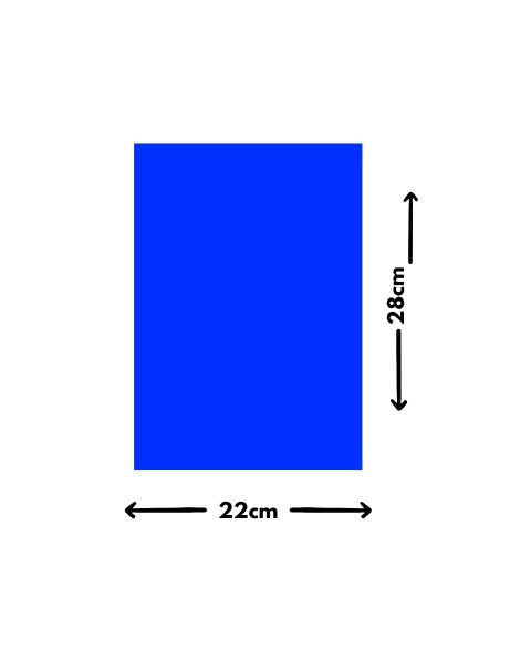 Chipku 22 * 28 cm Blue PVC  Pack of 10