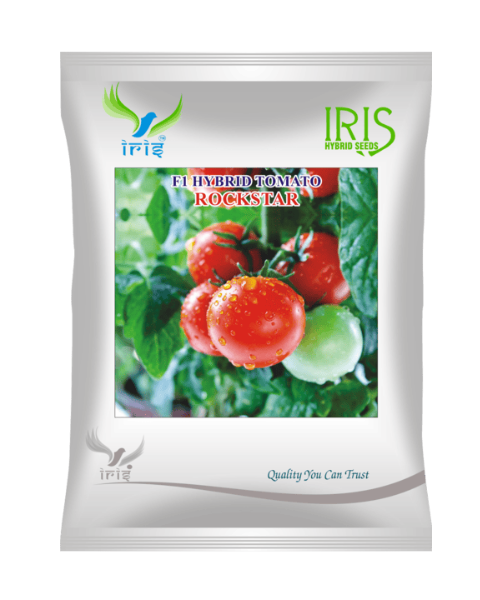 Iris Hybrid F1 Tomato Rockstar Tomato Seeds