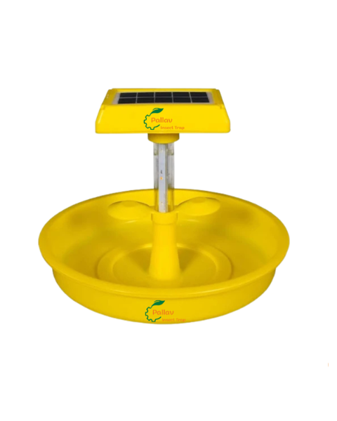 AutoStudio Pallav Solar Insect Trap Nano Model Traps & Lures
