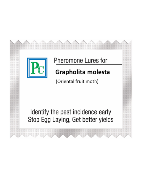 Pheromone Replacement lures for  Grapholita molesta (Oriental fruit moth) - 10pack