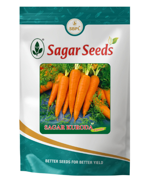Sagar Kuroda Carrot Seeds