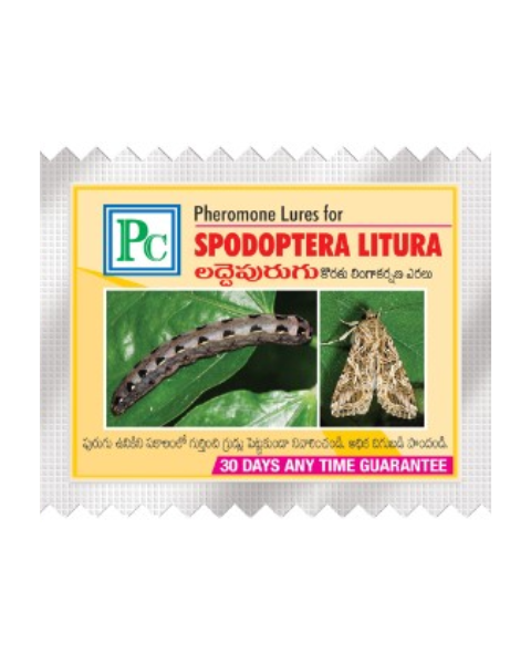 Pheromone Replacement lures for Combo Pack for ( Cabbage / Cauliflower / Mustard ) 24 Pack