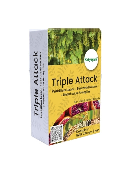 Katyayani Triple Attack Powder (Verticillium Lecanii + Beauveria Bassiana + Metarhizium Anisopliae) Bio Insecticides