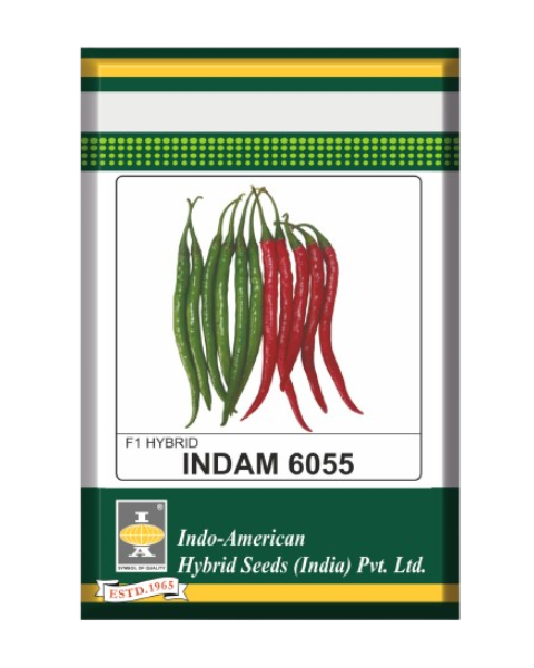 INDAM CHILLI 6055 - Chilli Seeds