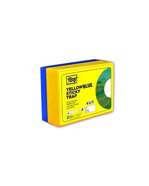 Chipku A5 (Yellow+Blue) Sticky Trap Pack of 25