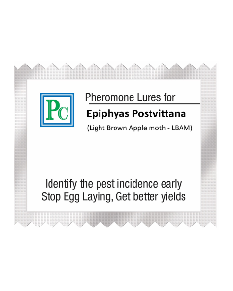 Pheromone Replacement lures for  EPIPHYAS POSTVITTANA (Light Brown Apple Moth – LBAM) - 10pack