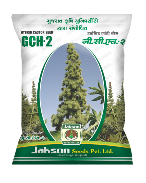 Jakson GCH-2 Hybrid Castor Seeds