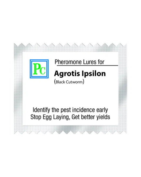 Pheromone Replacement Lures for Agrotis ipsilon ( Black cut worm ) - 8pack