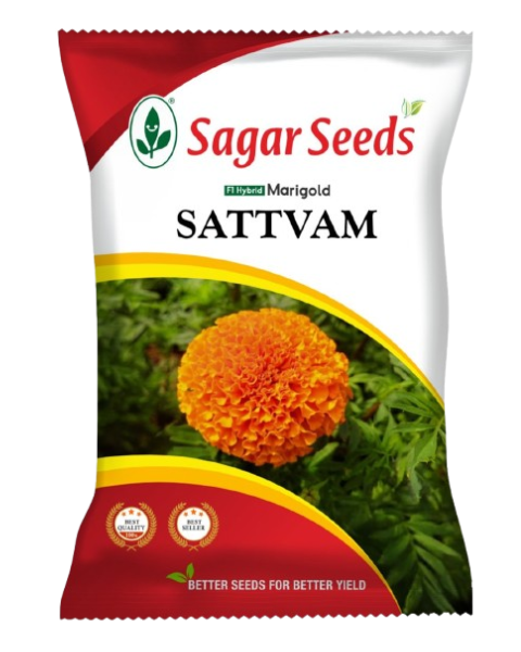 Sagar Satvam F1 Marigold