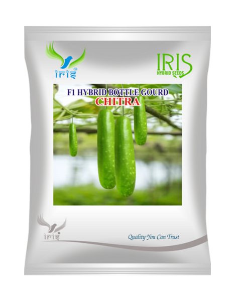 Iris F1 Hybrid Chitra Bottle Gourd Seeds