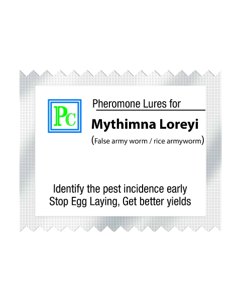 Pheromone Replacement lures for Mythimna loreyi (False armyworm) - 10pack