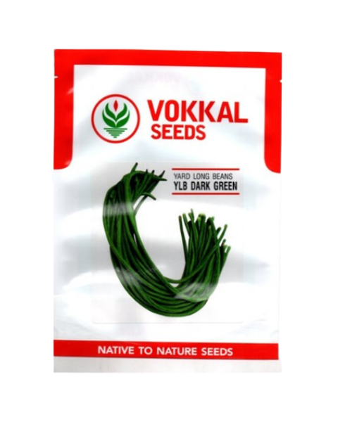 VOKKAL - YLB DARK GREEN - Yard Long Bean
