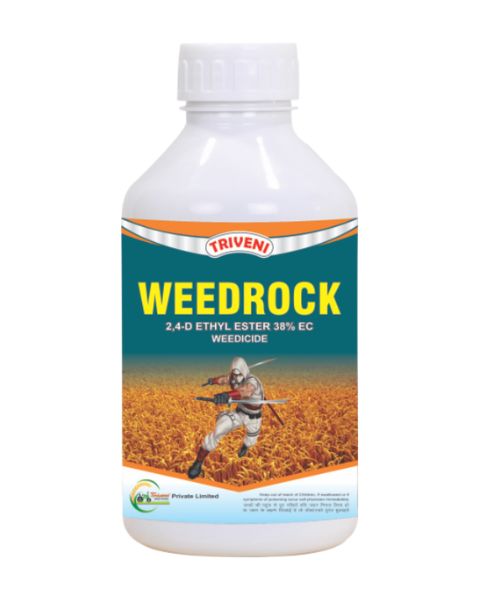 TRIVENI WEEDROCK - Herbicides