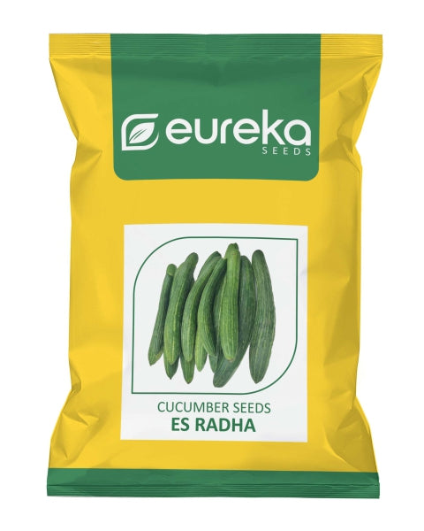 Eureka ES RADHA IMPROVED Cucumber Seeds