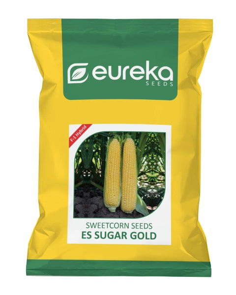 Eureka ES SUGAR GOLD F1 HYBRID Sweet Corn Seeds
