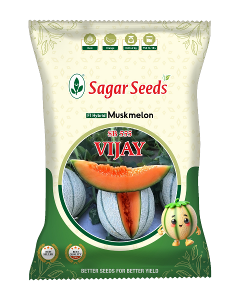 Sagar Vijay F1 Muskmelon