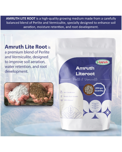 AMRUTH LITE ROOT