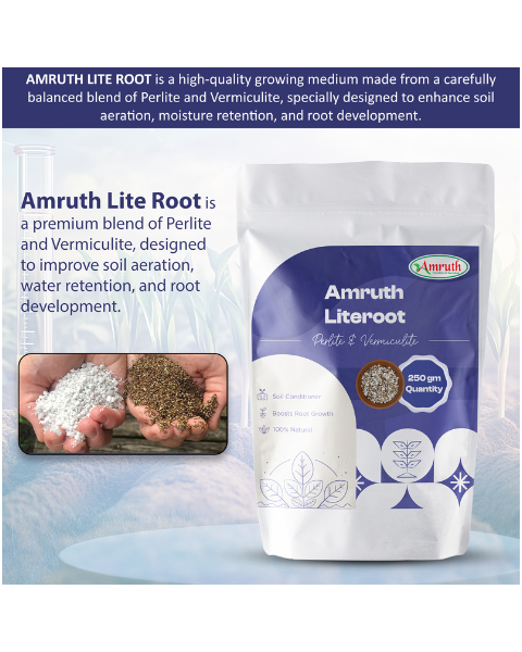 AMRUTH LITE ROOT