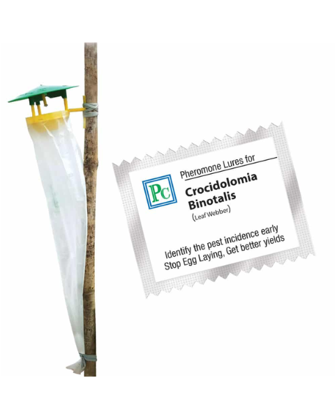 Pheromone trap with  Crocidolomia binotalis Lure (Leaf webber) - 10Pack