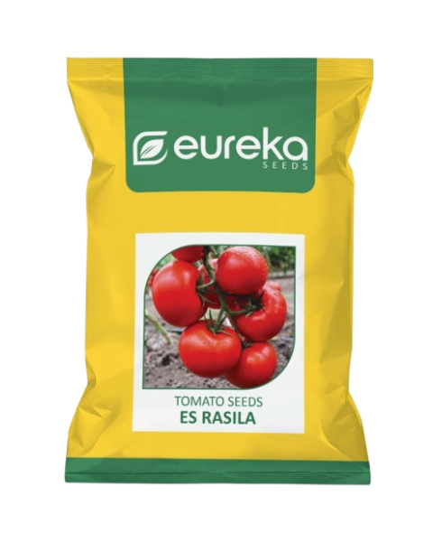 Eureka ES RASILA IMPROVED Tomato Seeds