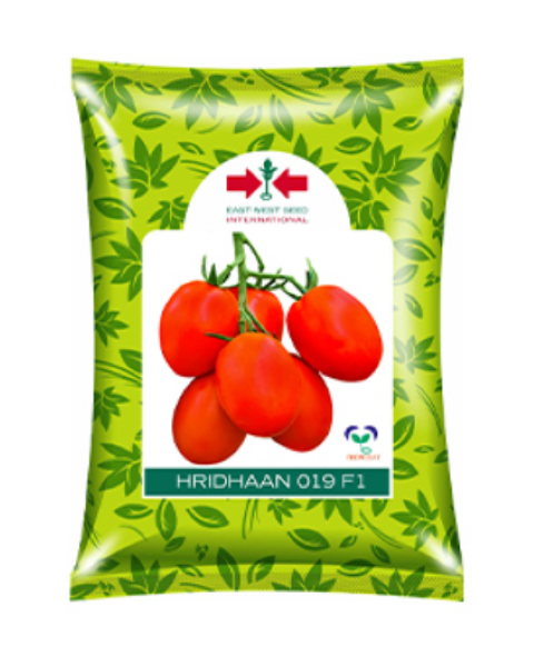 Hridhaan 019 F1 Tomato Seeds