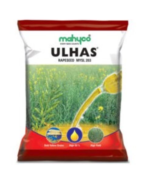 Mahyco Ulhas (MYSL 203) Mustard Seeds
