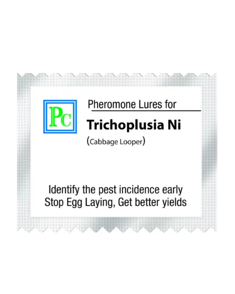 Pheromone Replacement lures for Trichoplusia ni (The cabbage looper) - 10pack
