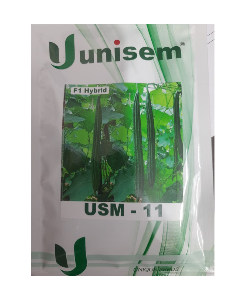 USM -11 F1 Hybrid Ridge Gourd Seeds