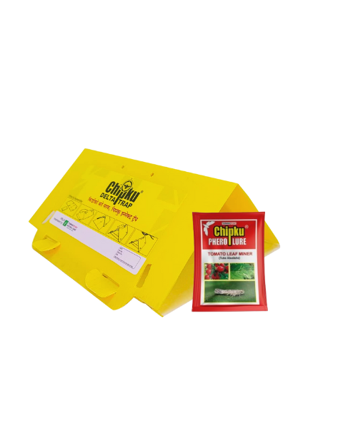 Chipku Delta Trap (Pack of 5) With Lure TLM
