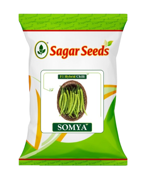 Sagar Somya F1 Chilli Seeds