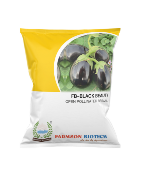 FB-BLACK BEAUTY (OPV) Brinjal Seeds