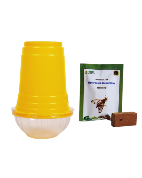 Wavar Fruit Fly Trap Cucurbitae Lure– Effective Pest Control in Cucurbits