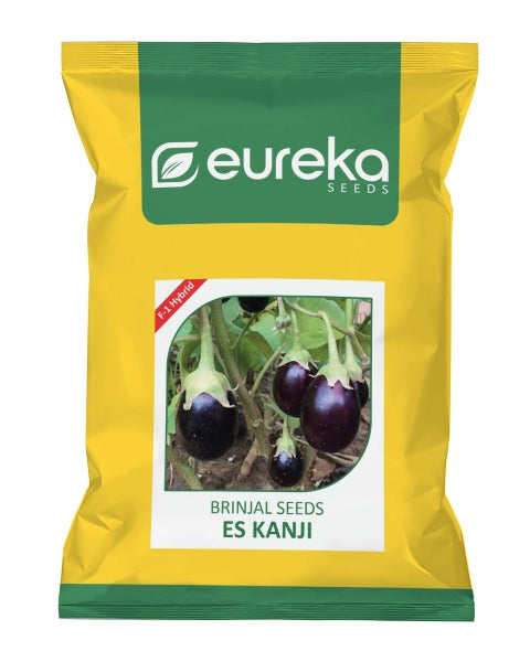 Eureka ES KANJI F1 HYBRID Brinjal Seeds