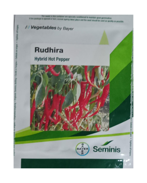 Rudhira Hot pepper seeds