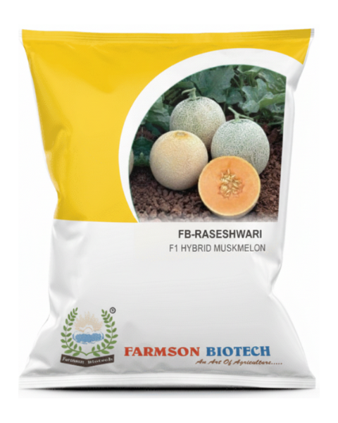 FB RASESHWARI F1 Hybrid Muskmelon Seeds