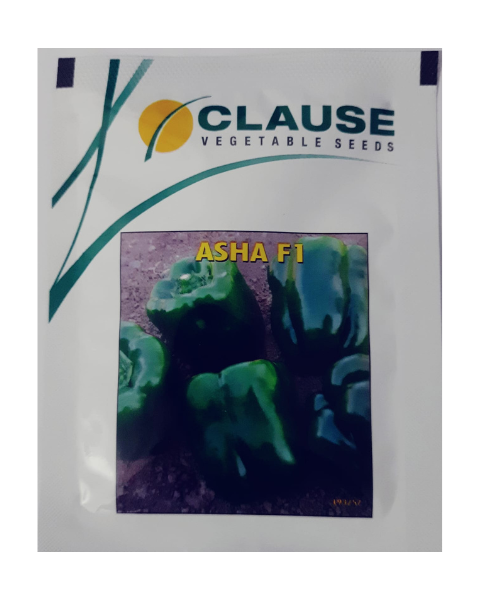 Asha  Capsicum Seeds